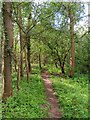 Footpath to Farmoor