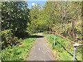 Footpath through woodland