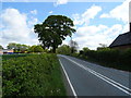 A525 near Broad Oak Farm