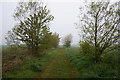 Path leading to Woodhouse Farm