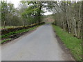 Road near to Dalchosnie Farm