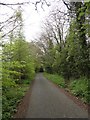 Looking along the lane near Greenwood