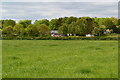 SU3045 : View across field to Sarson Lane by David Martin