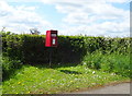 Elizabeth II postbox on the A525, Eglwys Cross