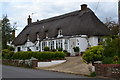 Thatched cottage at Sarson