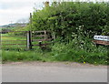 Stile into a Llangrove field, Herefordshire 