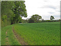 TQ6497 : Footpath on Arable Field Boundary, Mountnessing  by Roger Jones