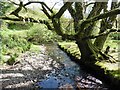 Stream at Barton Bridge