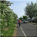 Rustat Road on a May morning