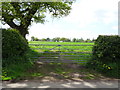 Field entrance off Coach Road, Ashtons-cross