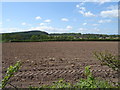 Field west of Whitchurch Road (A41)