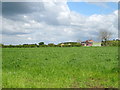 Grassland off the A41