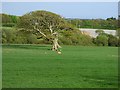 Farmland, St Erme