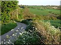 Road and farmland, Probus