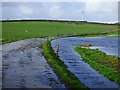 Farm road and pasture, St Enoder