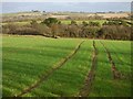 Farmland, St Columb Major