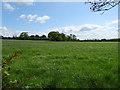 Grassland near Barton