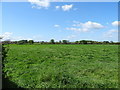 Grassland, Rowleyhill