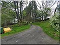 The bridlepath to Bryn-Meredydd