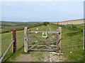 Bridleway down to Balsdean Bottom