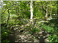 Footbridge over a little stream, Horsforth