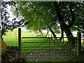 Ceredigion farmland south-west of Llanddewi Brefi