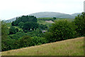 Ceredigion farmland near Llanddewi Brefi 