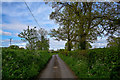 ST1919 : Taunton Deane : Country Lane by Lewis Clarke