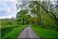ST1817 : Taunton Deane : Country Lane by Lewis Clarke