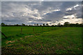 ST1617 : Taunton Deane : Grassy Field by Lewis Clarke