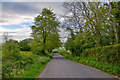 ST1718 : Taunton Deane : Country Lane by Lewis Clarke