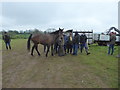 SP1925 : Horsedealing at Stow Horse Fair May 2019 by Vieve Forward