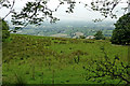 Hill pasture south-west of Llanddewi Brefi in Ceredigion