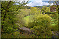 West Somerset : Countryside Scenery