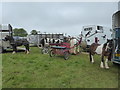 SP1925 : Horses at Stow Horse Fair May 2019 by Vieve Forward