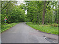 Rural road to Foulden