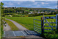 North Devon : Farm Track