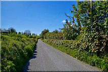SS5628 : North Devon : Country Lane by Lewis Clarke