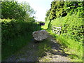 Blocked driveway off Borras Road