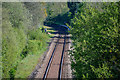 Chapelton : Railway Line