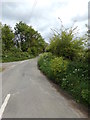 TM4878 : Reydon Lane, Reydon by Geographer