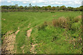 Field, Boreat Moor