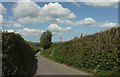 Lane to Fishleigh Bridge