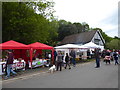 All the fun of the Blackheath May Day Fair (5)