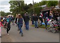 All the fun of the Blackheath May Day Fair (9)