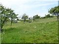 Play area above Bexhill Road, Woodingdean