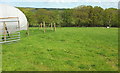 Grass field, Lilcot Farm