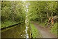 Canal, tow path and a fallen tree