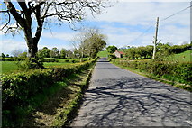 H5064 : Augher Point Road, Moylagh by Kenneth  Allen