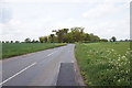 Reedham Road towards Beighton